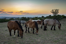 Italy-Puglia/Basilicata-Murgia Park Getaway